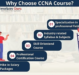 Boost Your Network Career with Networkers Guru’s Online CCNA Training in Gurgaon